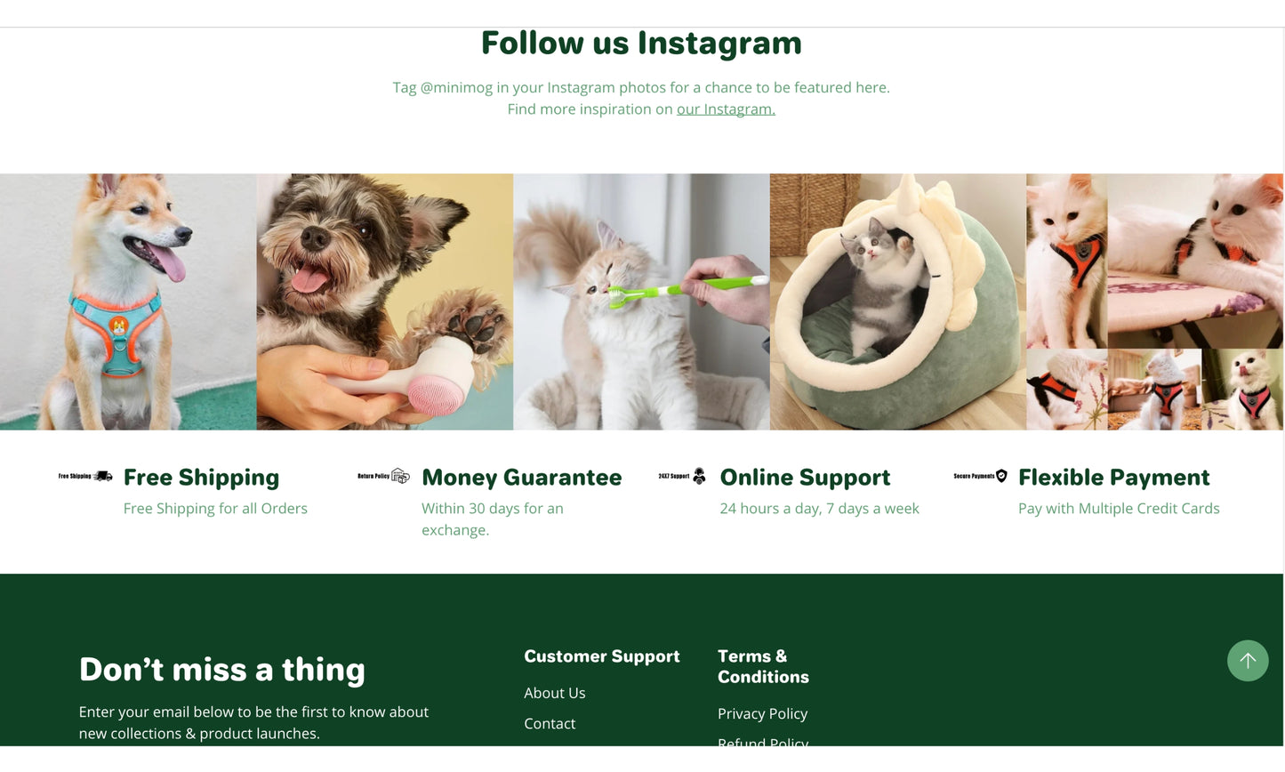 Pet's Path | Startbereiter E-Commerce-Shop für Haustiere und Lifestyle mit mehreren Produkten und Standardthema