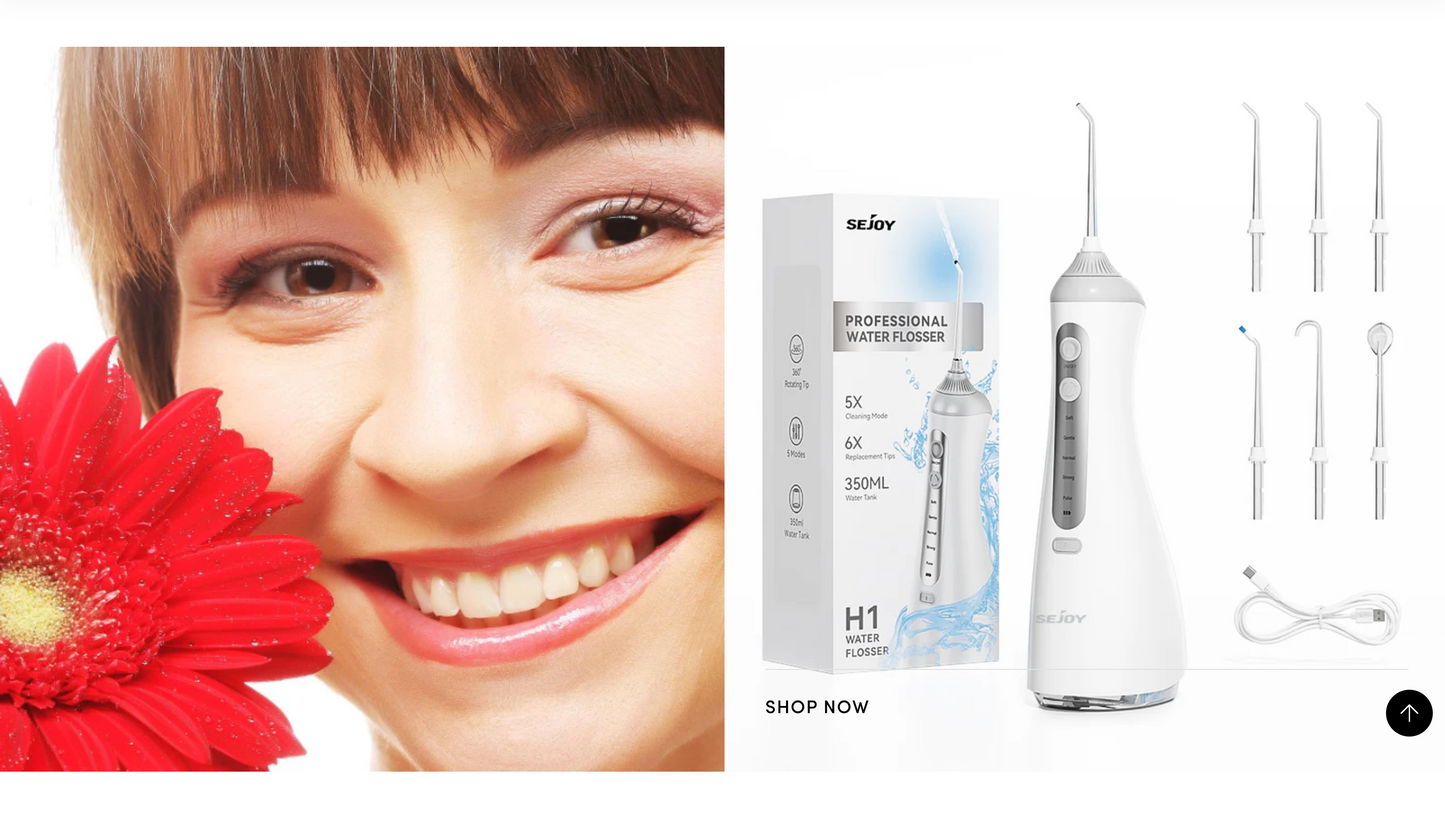 DenataMist | Ready-to-Launch Dental Water Flosser Single Product Store